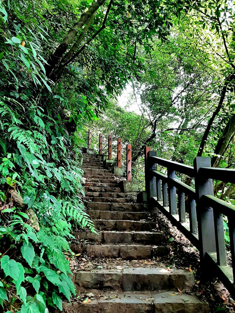 金面山、絹絲瀑布_2532365