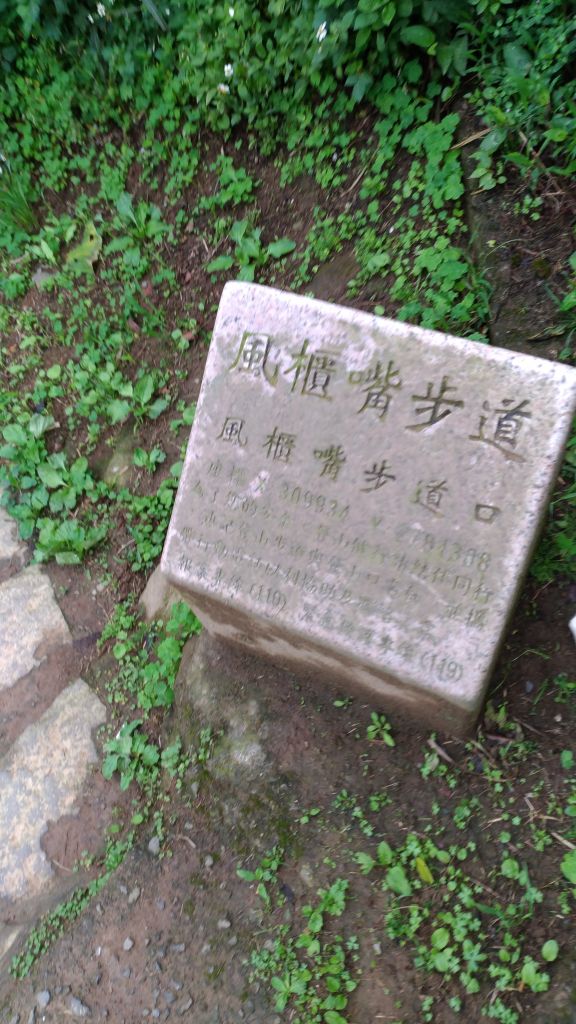 頂山,石梯嶺,竹篙山連走!_165031