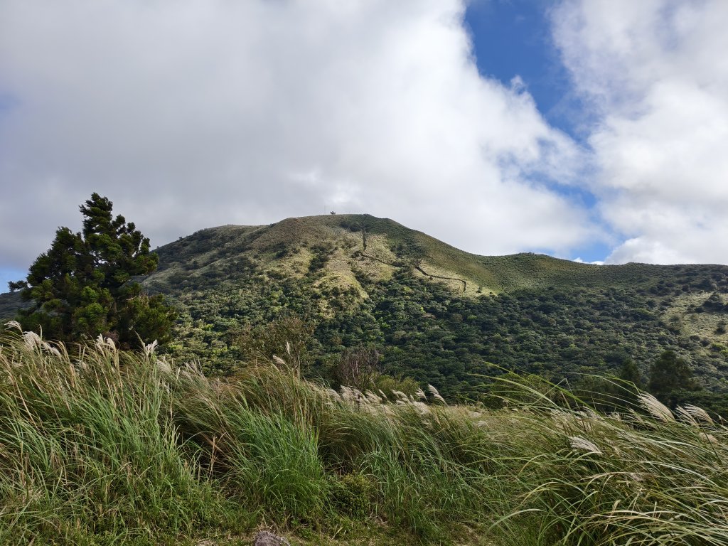 [百山百鳥尋旅-11/15] 2025_0927 大屯主峰-連峰步道_大屯山南峰_2899366