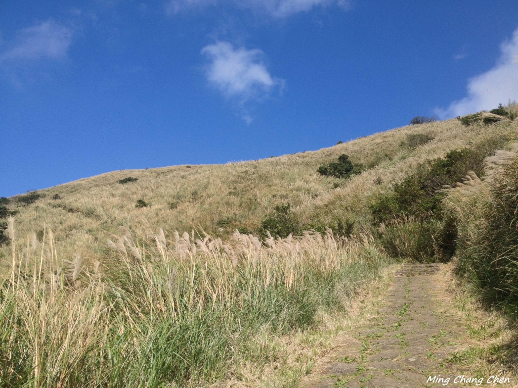 【山岳之美】~大屯主→七星主→ 七星東→夢幻湖→擎天崗_5592