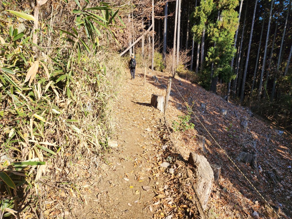 20251127陣馬山至高尾山_2959081