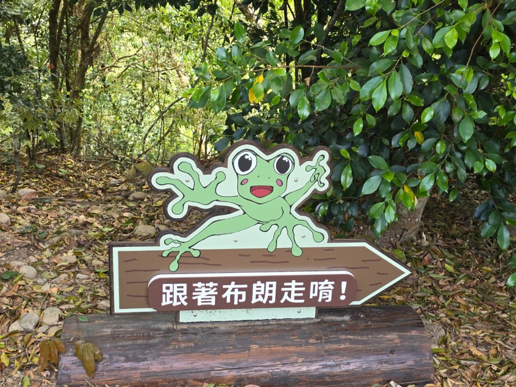台中大坑頭嵙山區1號／5-1號5號步道黑松亭順訪二嵙山_2748351