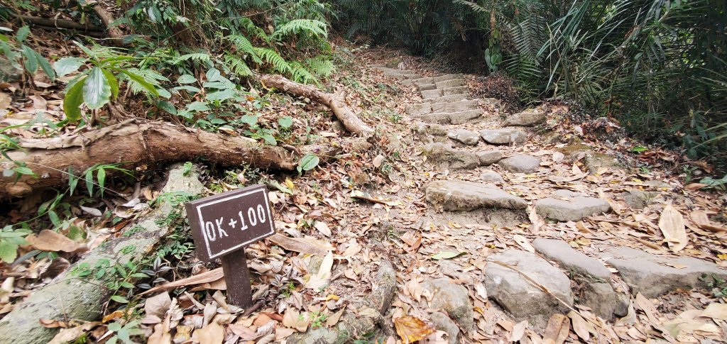 2023-04-15崁頭山步道_2114740