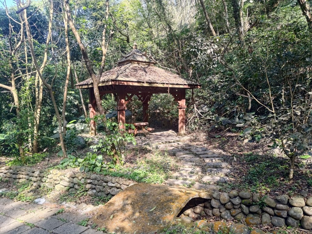 藤山步道登樟普寮一等三角點+挑水古道封面圖