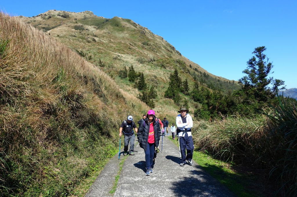七星連走 O型 2018.03.11_291540