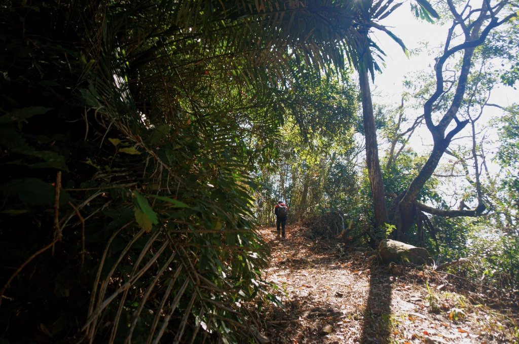 西阿里關山步道_2011221