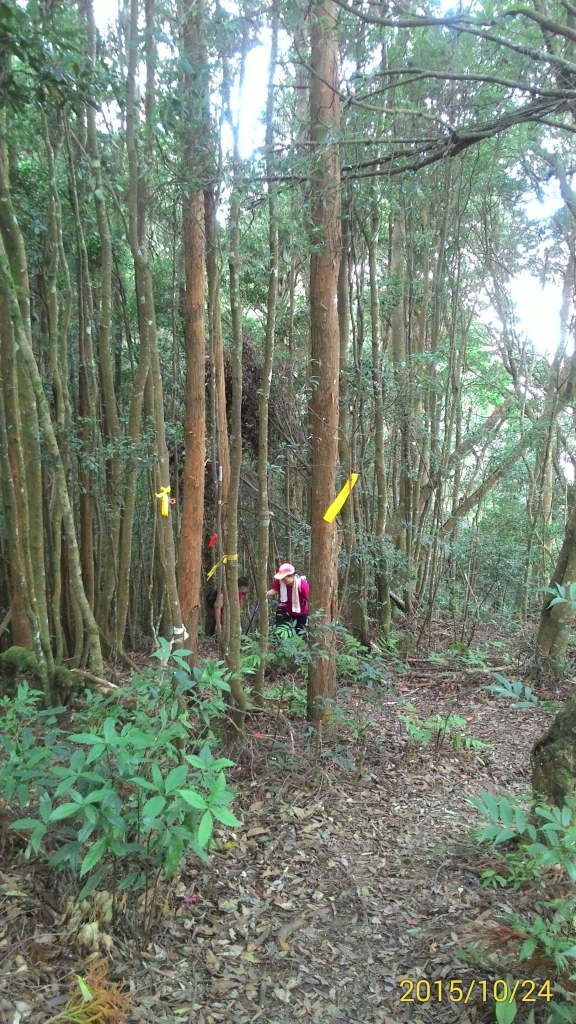 20151024新竹五峰鄉油羅山_27436