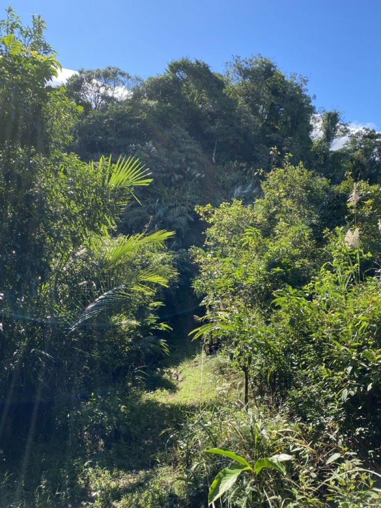 2023/12/14 碇內尖山 龍門山 五分山 淡蘭古道中路_2399792