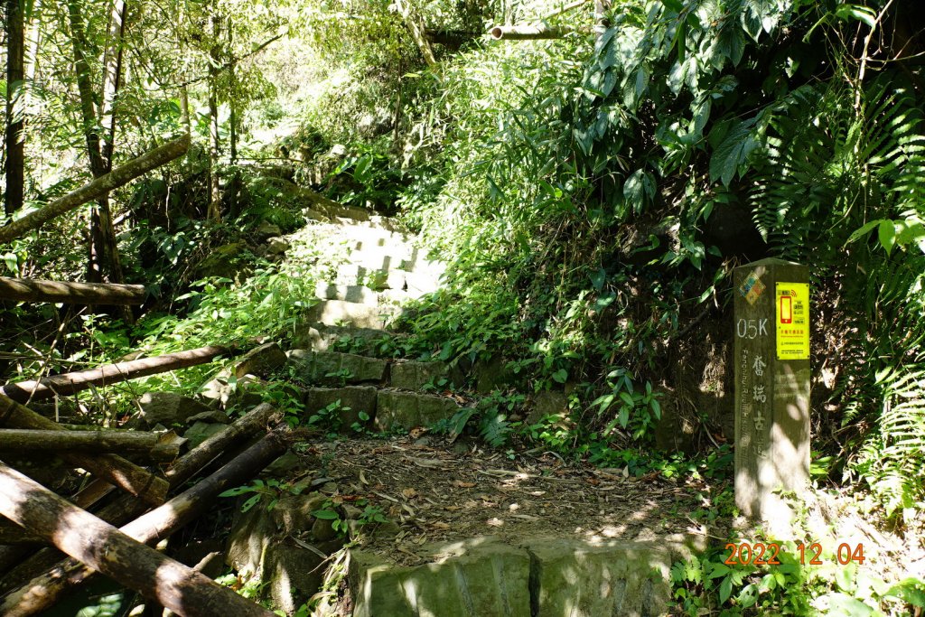 嘉義 竹崎 光崙山、摩天嶺_1941075