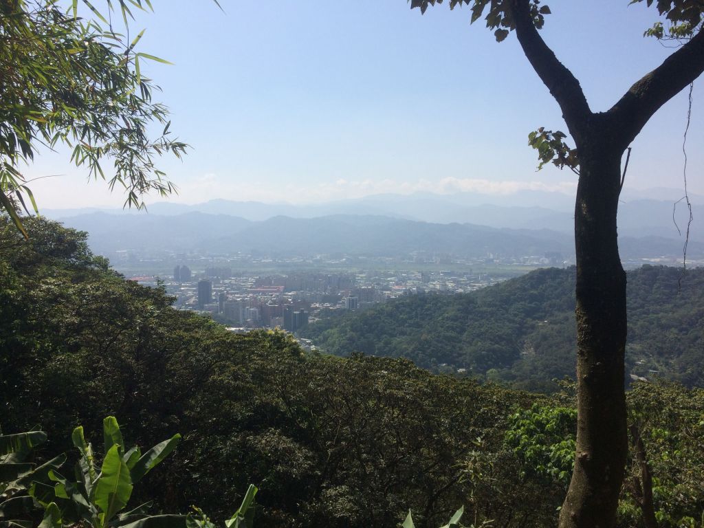 大棟山之縱_302567