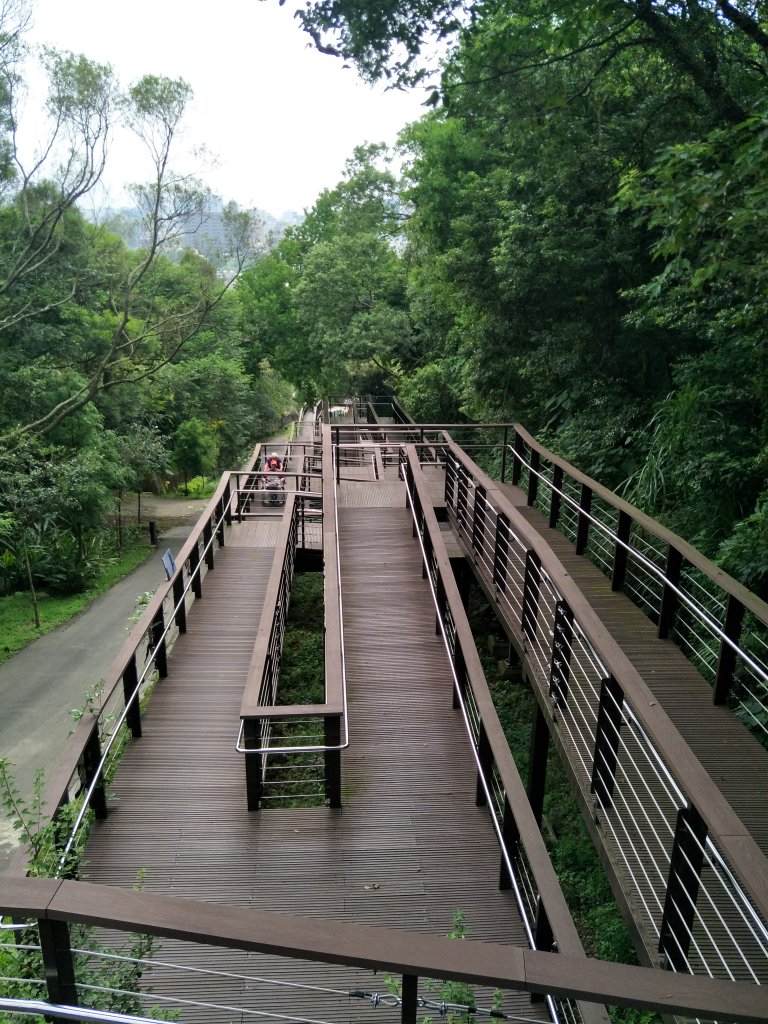 桃園虎頭山步道_1782119