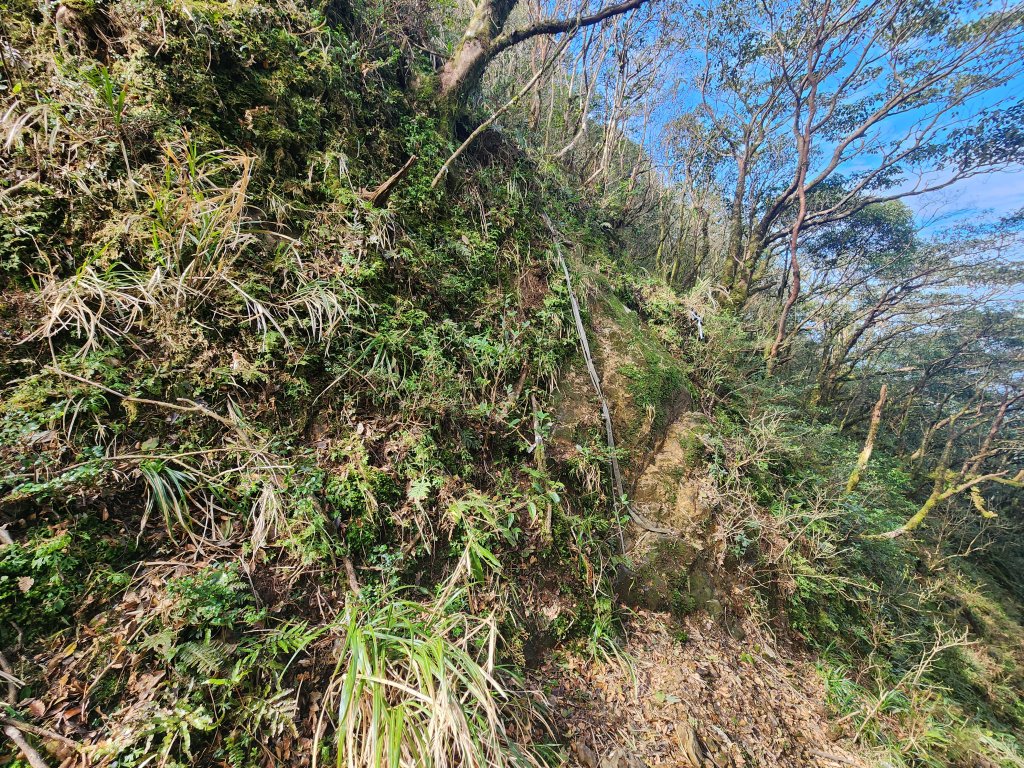 20250302樂佩山_2754737