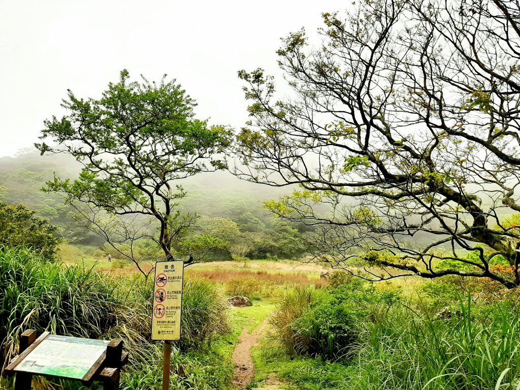 走遍陽明山：大屯山系｜面天山、向天山_2090327