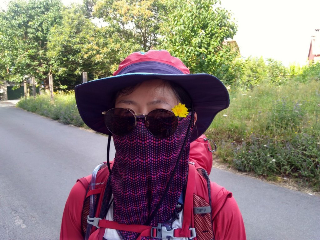 葡萄牙中央線（D4-5）_635493