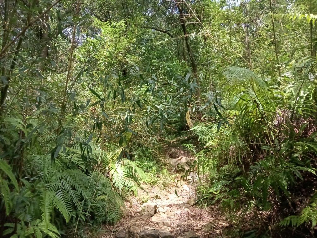 汐止區夢湖保線路+單車夢湖路O型_2894088