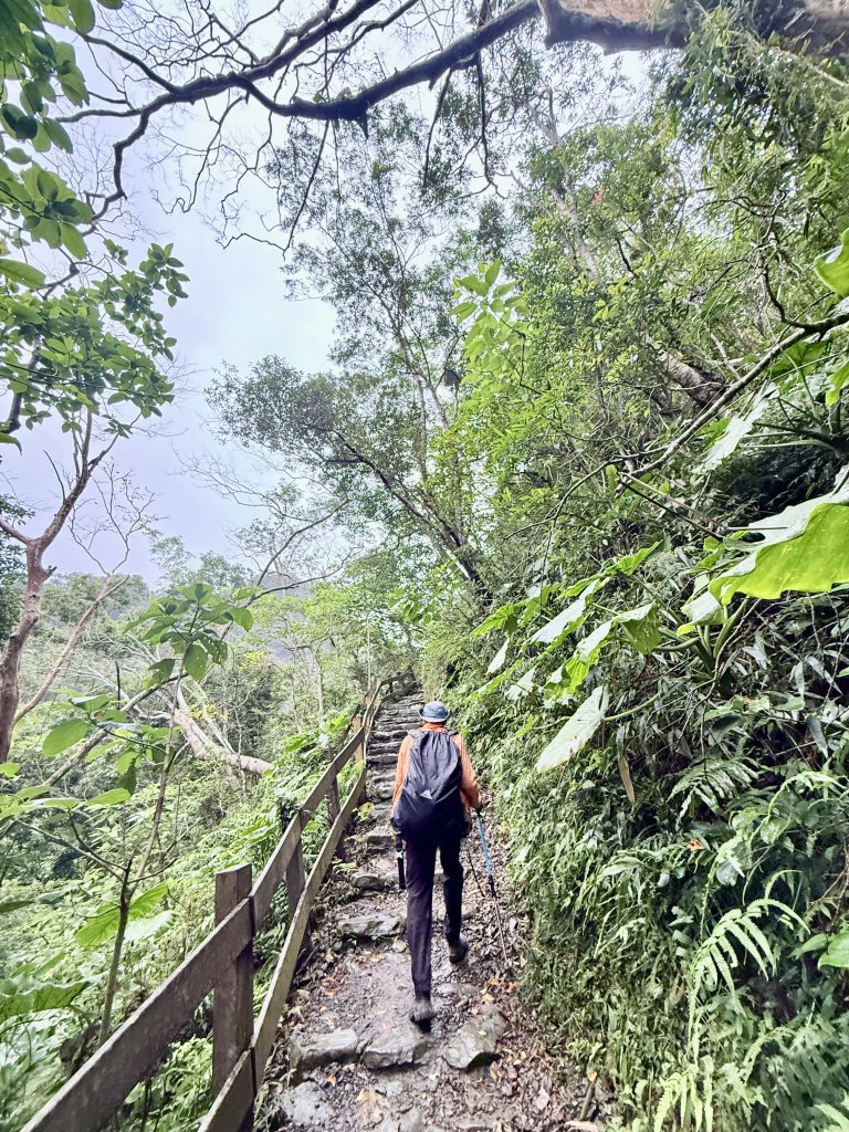 雙流帽子山悠遊  2025.01.03_2688588