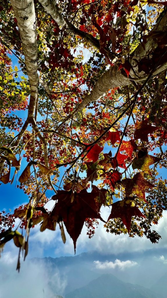 馬那邦山O走_2370153