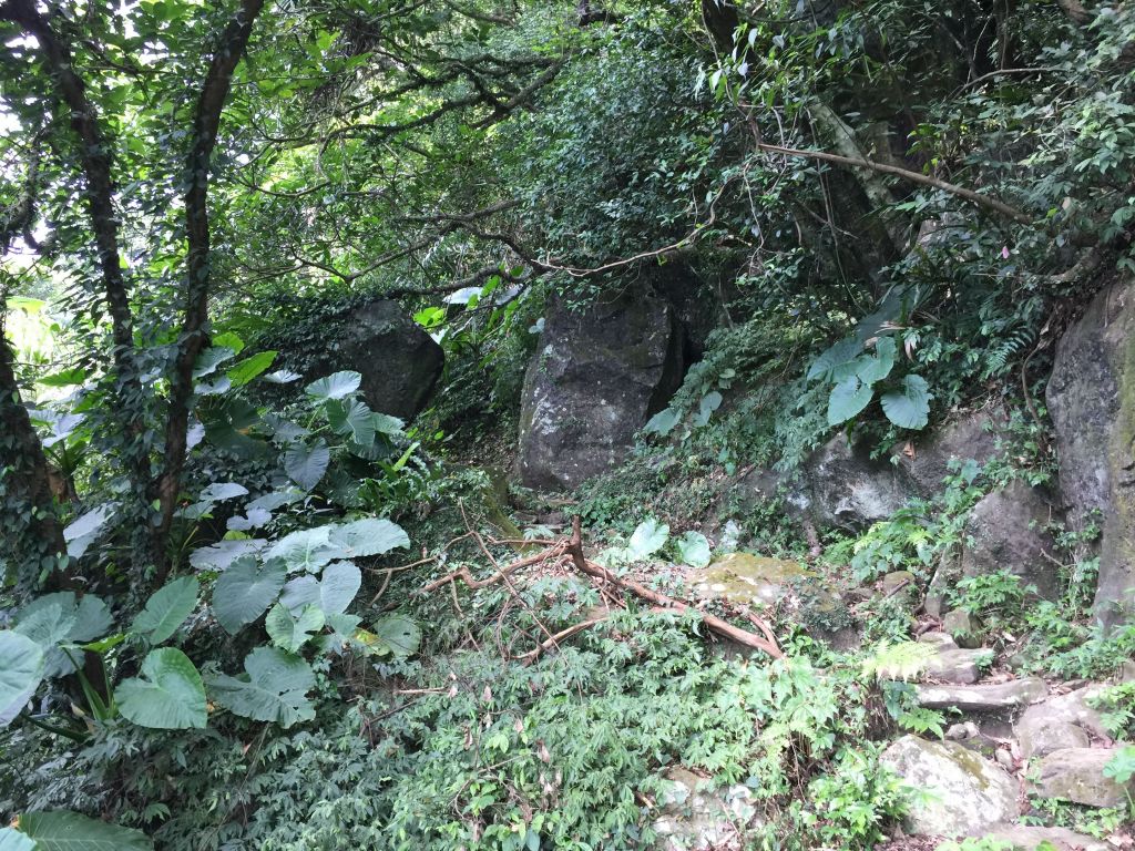 竹子山古道-竹子山微波反射板俗稱北北峰_144721