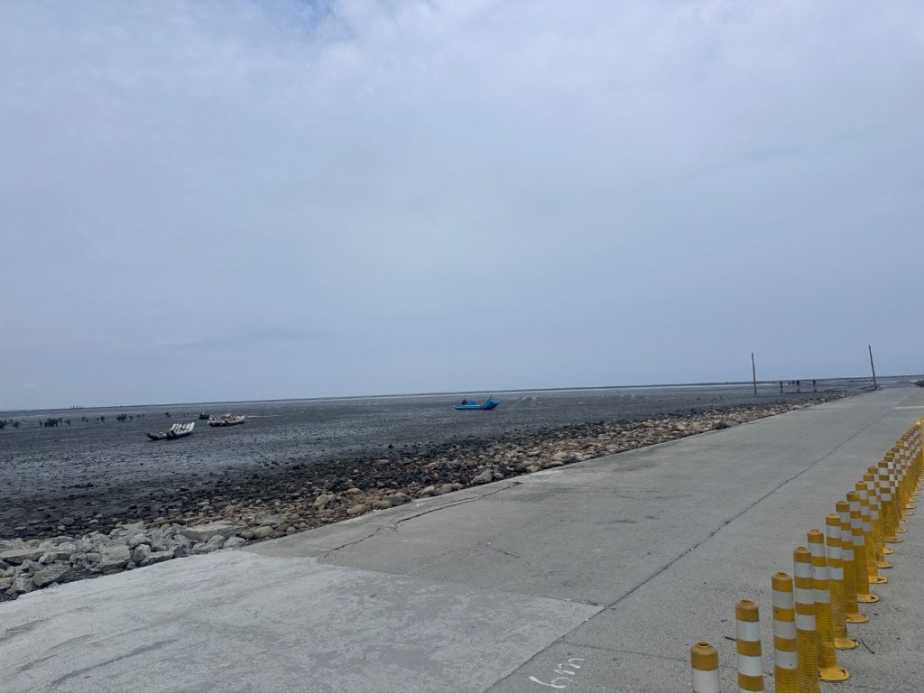 芳苑濕地紅樹林海空步道_2766455