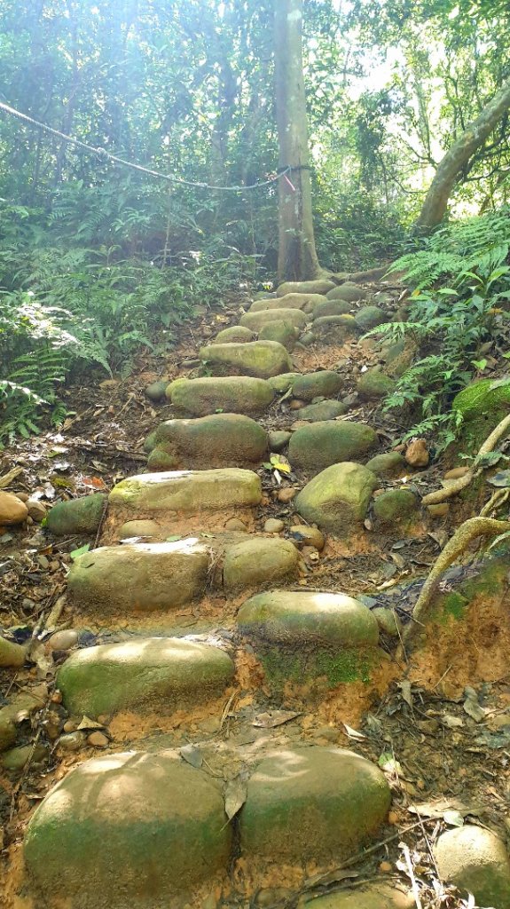 福人登山步道_1001726