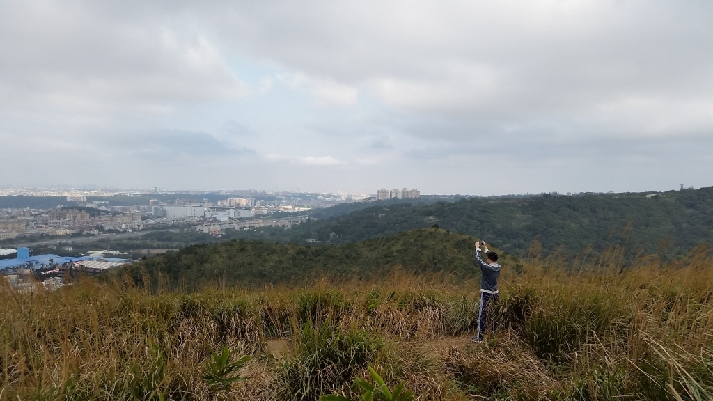 秀才登山步道_96338