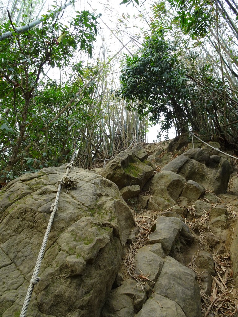 台灣小百岳第72座高雄旗山旗尾山之三角點_551170