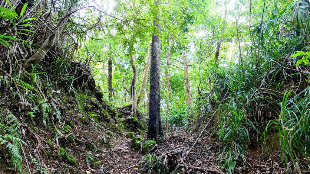 石古井,青林山,畝畝山,平溪子山_2854730