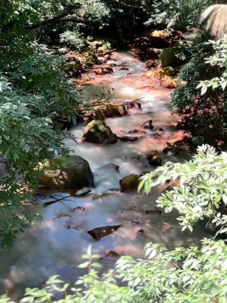 天母水管路走陽明山尖山封面圖