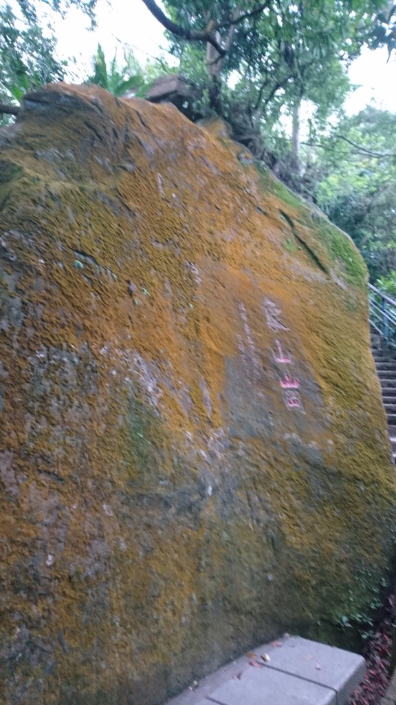 象山-拇指山-南港山-九五峰-虎山溪_511828