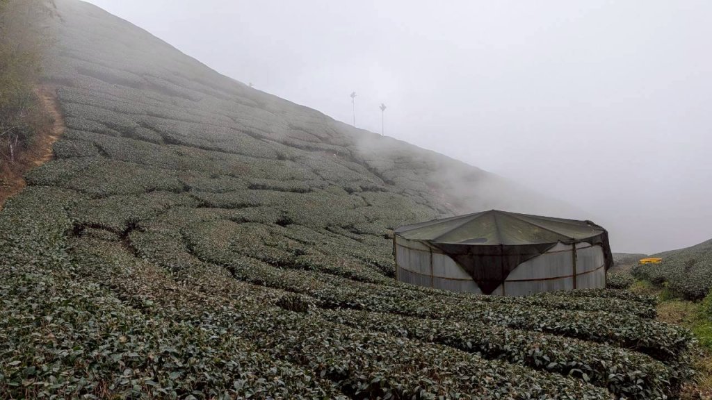 雲嘉五連峰 (大尖山、二尖山、馬鞍山、梨子腳山、太平山)_2991043