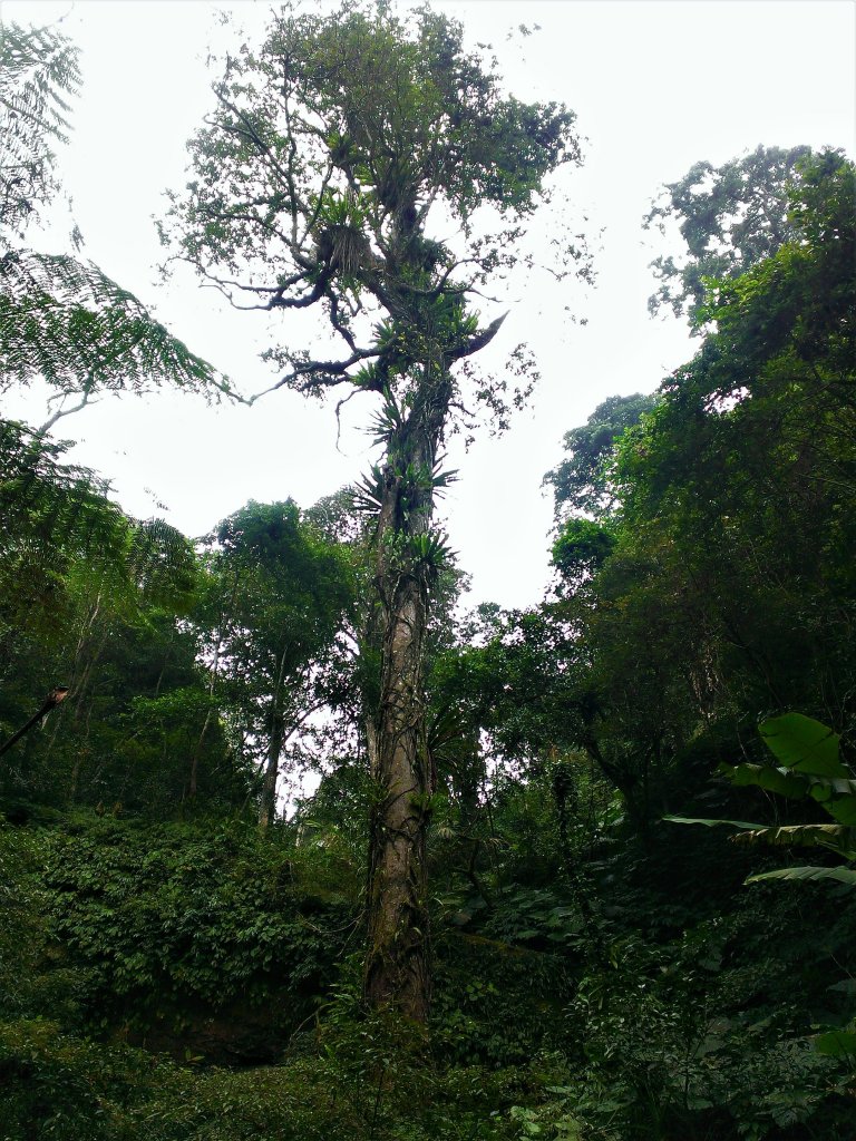 恣意橫貫五指之間_482998