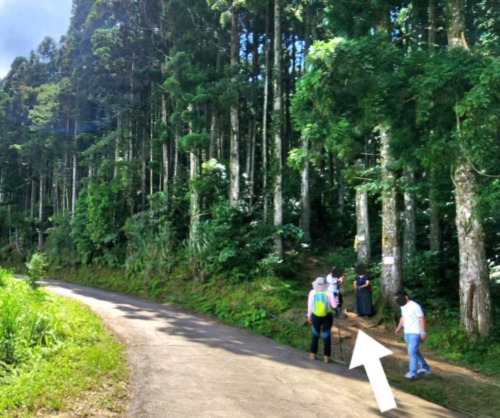 【中級山】來過一次，你不會忘記它的名字，新竹油羅山_2743731