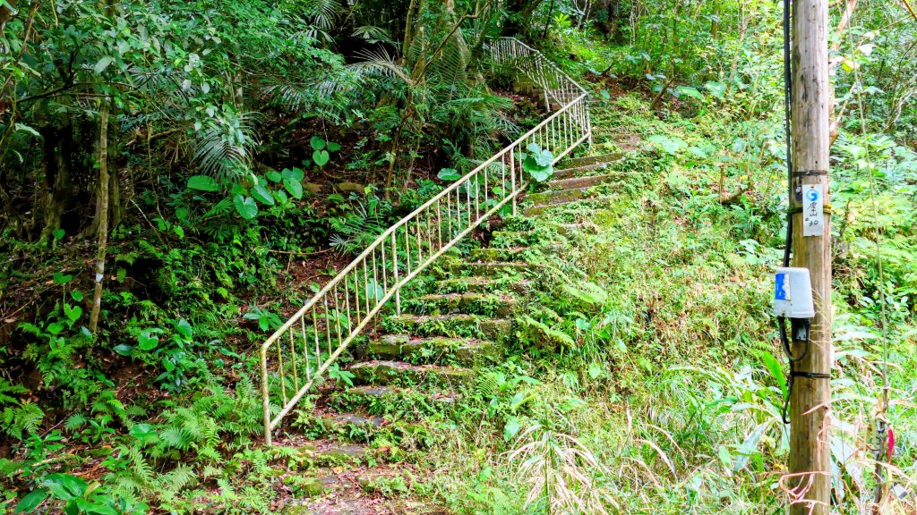 草嶺古道_2962474