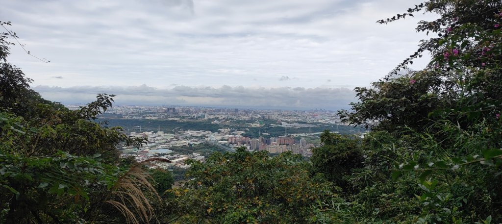 鳶山（福德坑山）_2970876