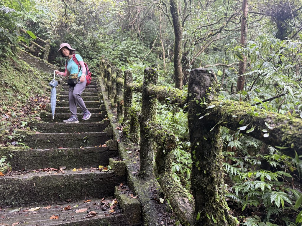 二格山 2025.07.20_2864228