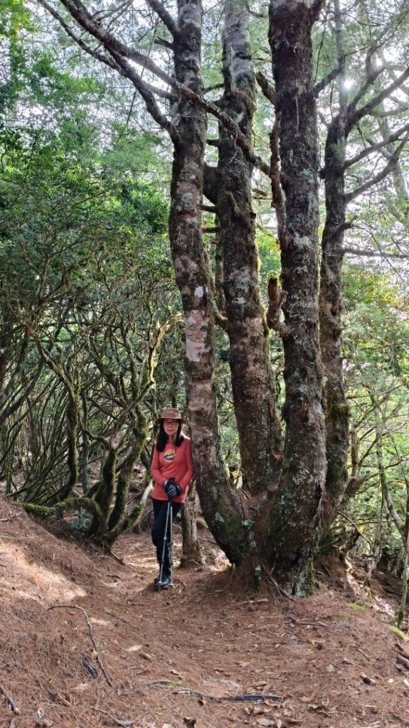 新康五天~戒茂斯進，出瓦拉米_2949611