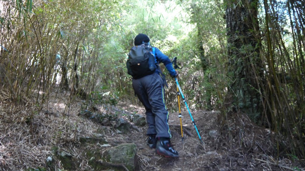 池有山單攻登山健行趣(百岳52)_1515213