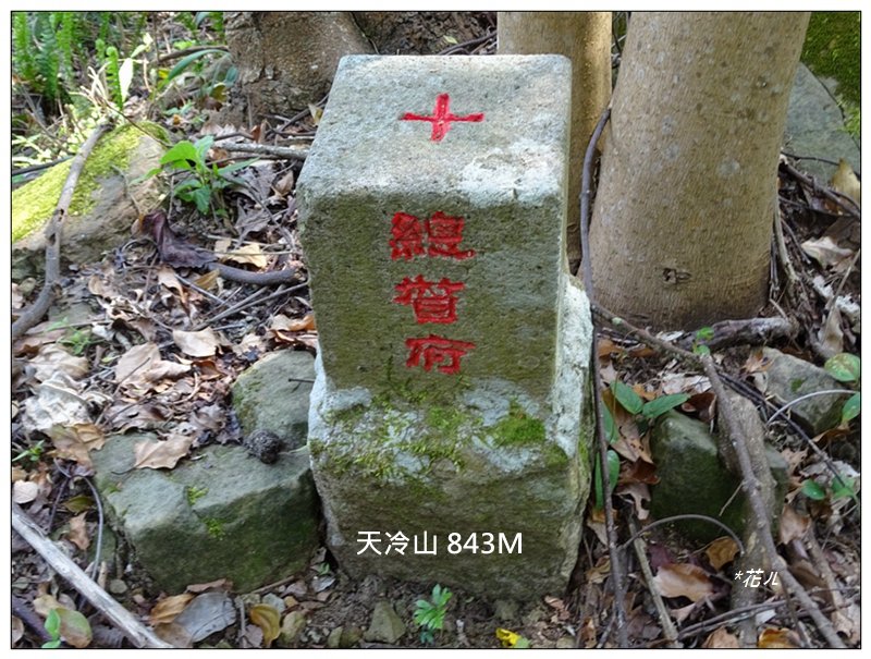 天冷山(新路線)台中/東勢封面圖