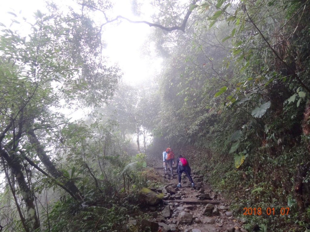 台南第一高山大凍山_240782