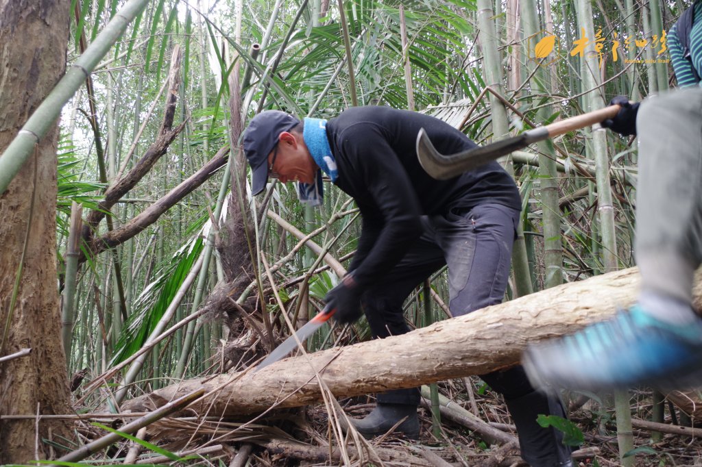 樟之細路 | 09/21砍草任務_686482