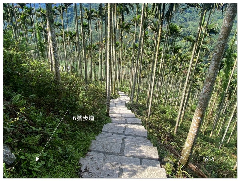 樟湖山 右上左下 (雲林、古坑)_2846310