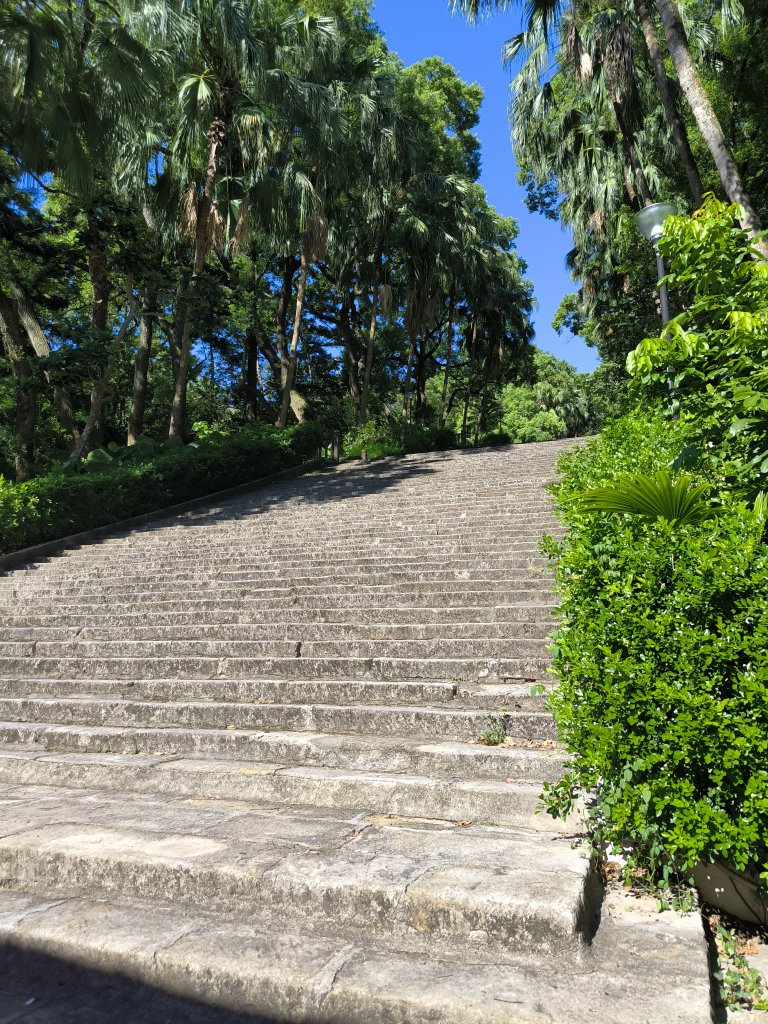 20250906泰山辭修公園、尖棟山、69步道、瓊仔胡_2879480