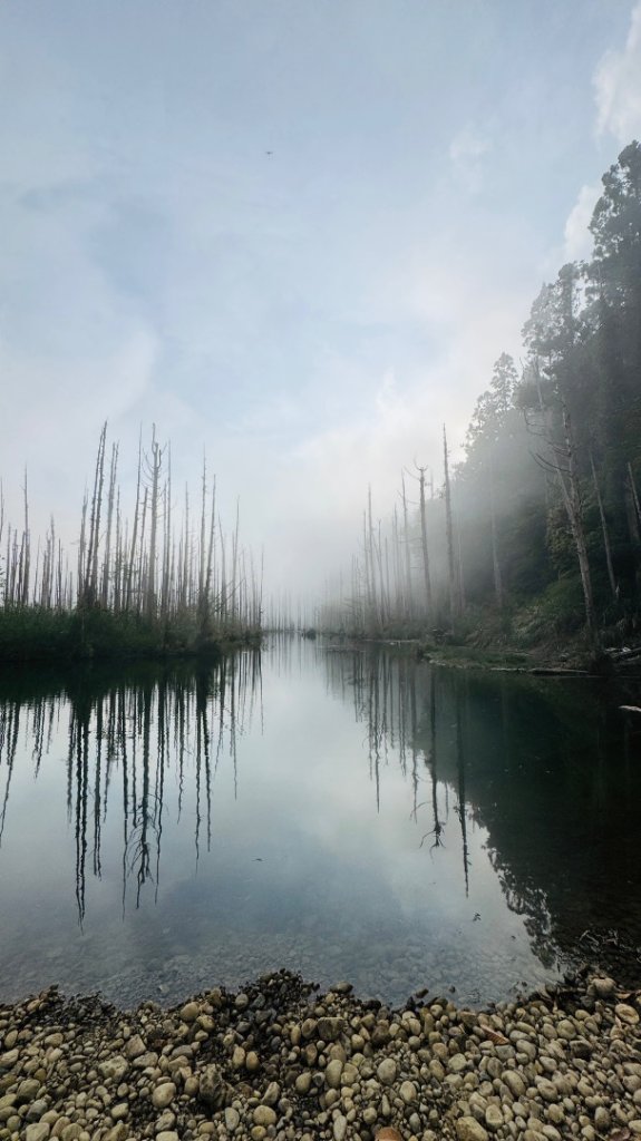 水漾森林+瞑月神木_2768805
