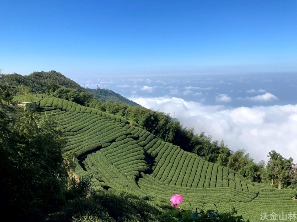 2024-10-19 雲嘉五連峰_2637369