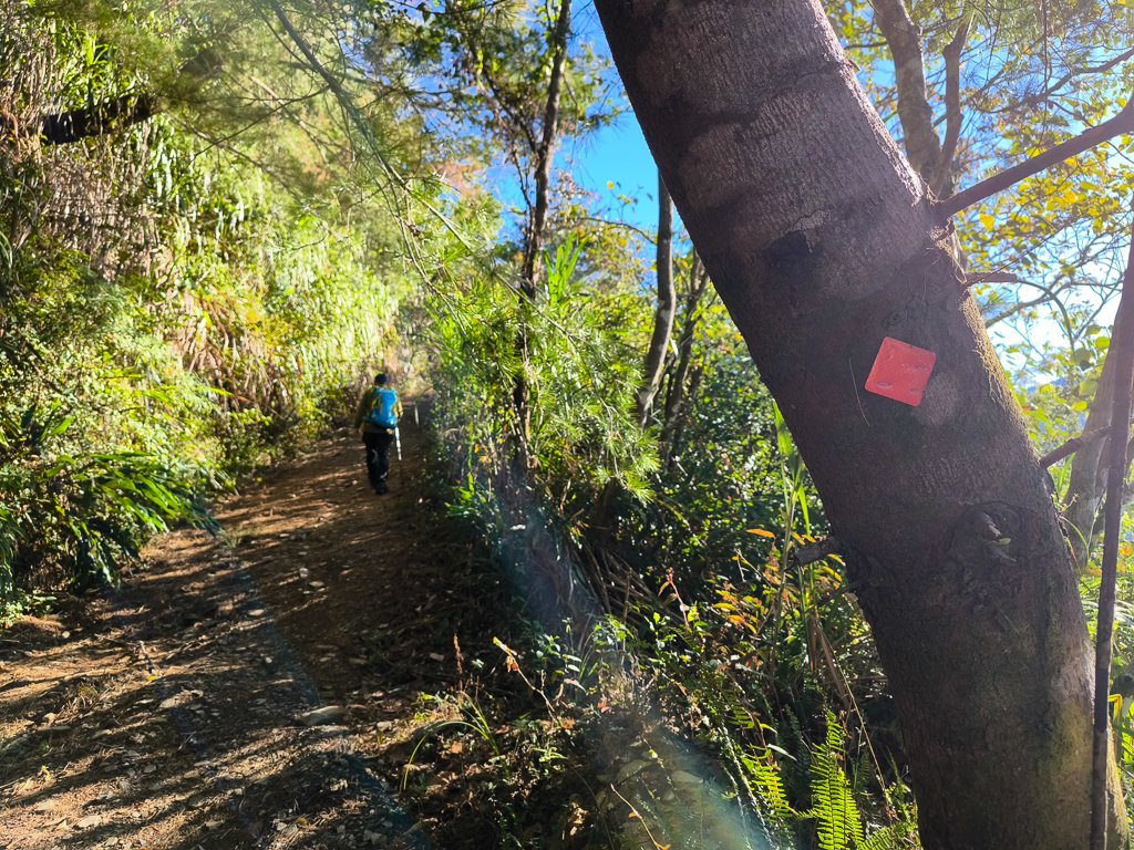 2025-12-21 武界山、獅凸魯山、橫屏山、橫屏山西峰_2969681