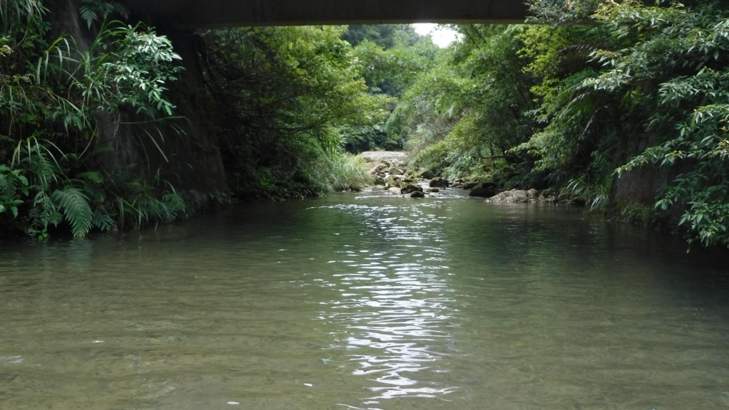 平溪線旁的山水秘境-灰窯溪溯溪_53448