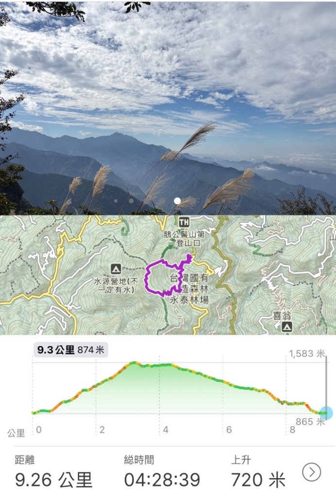 鵝黃色的優雅_2960315