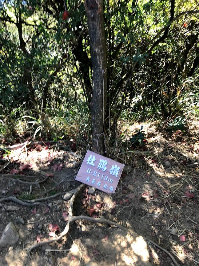 加里山大坪登山口20191124_1965189