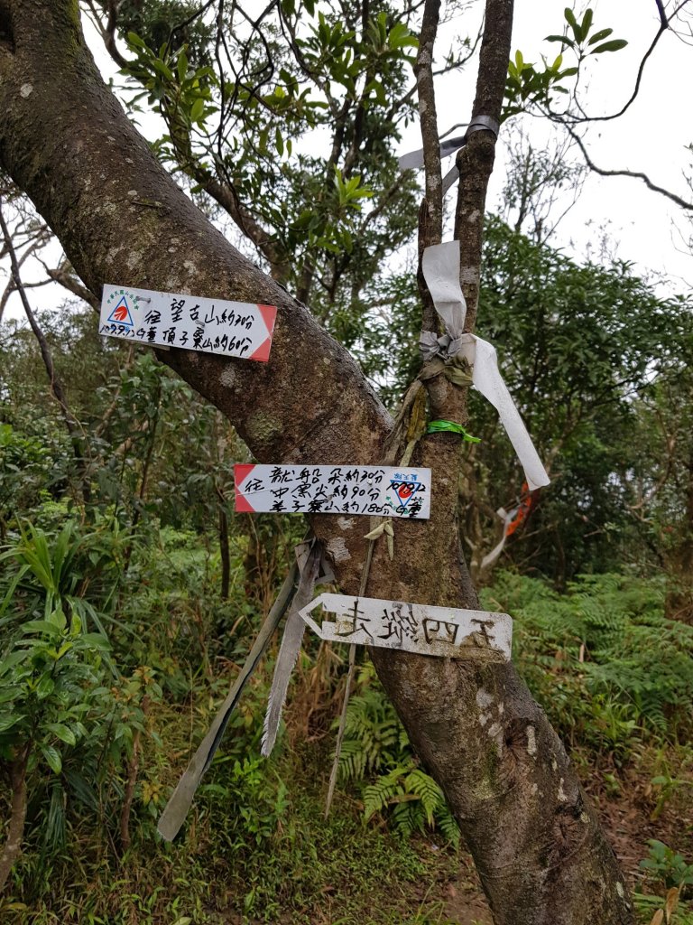 糜爛山友:瑞芳耍廢.五四縱走_514596