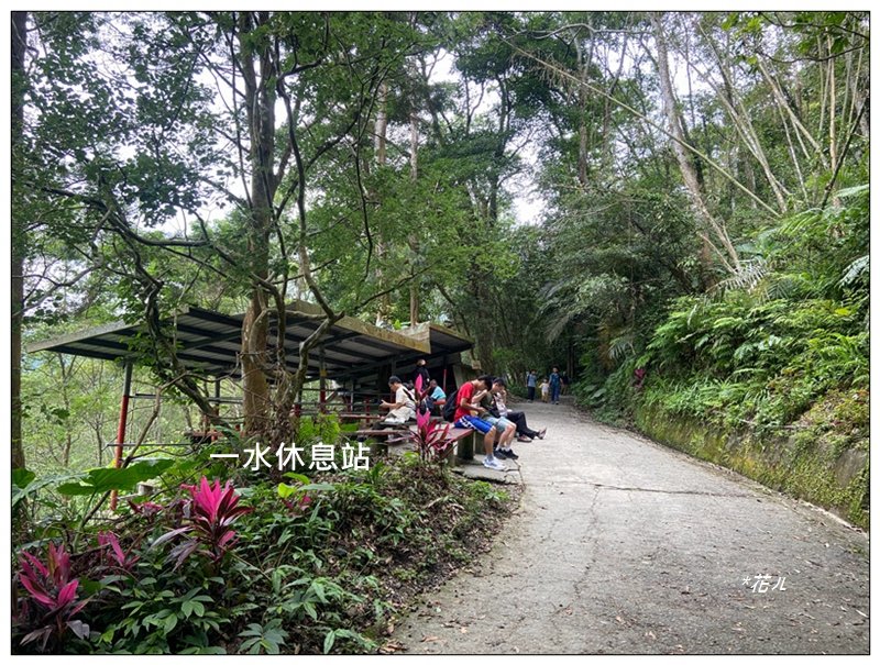 聖母峰、三角崙山 (抹茶山) 連走_2802181